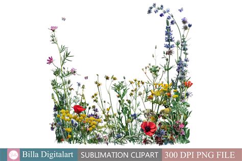 Free Wild Flowers Floral Border Clipart Graphic by BillaDigitalart ...