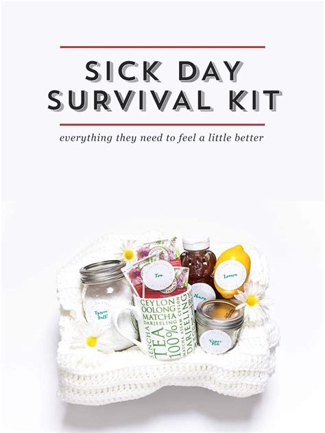 Sick Day Survival Kit Survival Kit Ts Cool Ts Diy Ts