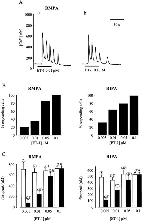 Effect Of Endothelin Et On Cytosolic Ca Concentration Ca I