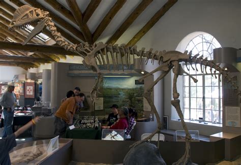 Дилофозавр | это... Что такое Дилофозавр?