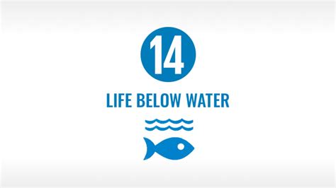 Sdg 14 Life Below Water Iberdrola