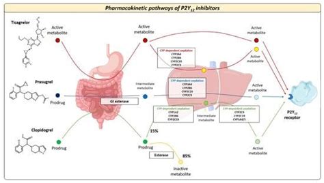 Roberto Accardi on LinkedIn: Escalation and De-Escalation of ... 