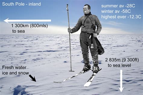 Antarctica And The Arctic Compared Differences And Similarities