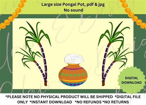 Pongal Pot and Sugarcane Tree Large Size, Makar Sankranti Pot, Pongal ...