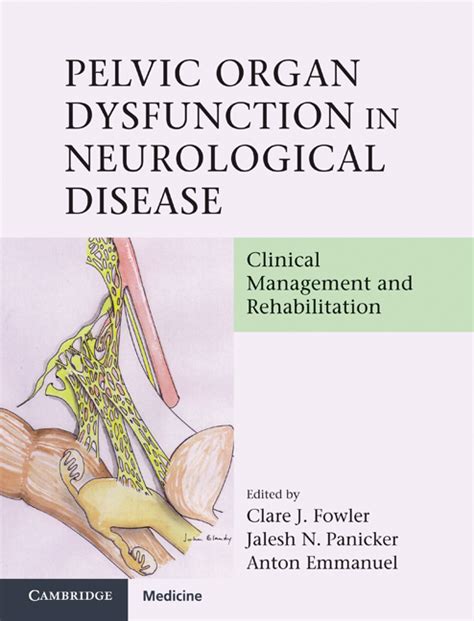 Neurological Control Of The Bladder In Health And Disease Chapter