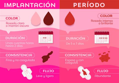 Menstruación en el embarazo Es posible Nosotras