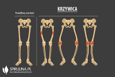 Krzywica Algi Spirulina I Chlorella