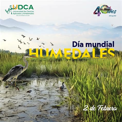 Celebremos Juntos El D A Mundial De Los Humedales Universidad De