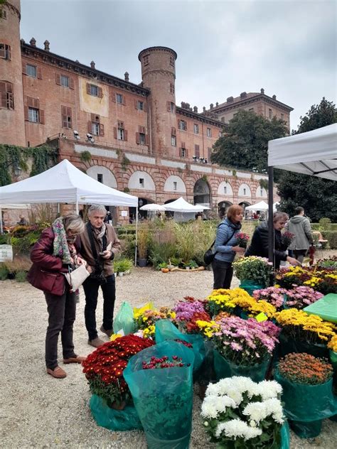 Fiorile Al Castello Reale Di Moncalieri Il Torinese