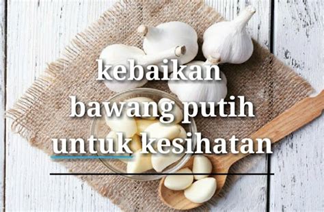 Khasiat Bawang Putih Dalam Perubatan Islam Khasiat Bawang Putih