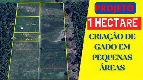 1 Hectare São Quantas Tarefas - COMO VAI FUNCIONAR O PROJETO DE 1 HECTARE - YouTube