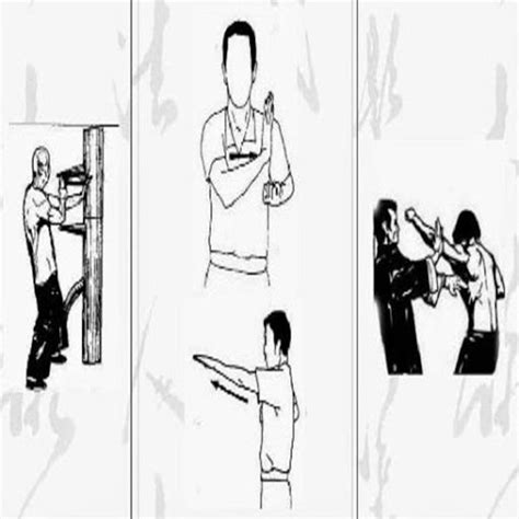 Wing Chun Technique APK for Android - Download