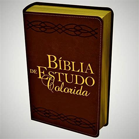 Bíblia De Estudo Em Cores - Biblia de Estudo em Cores (Colorida)-Portugues: 9788581580616 - AbeBooks