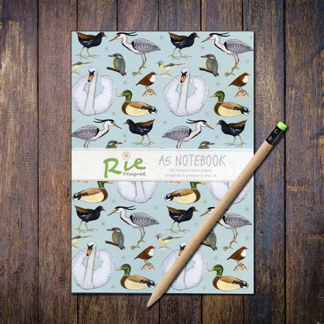 British Garden Birds Identification A3 Card Poster Art Print