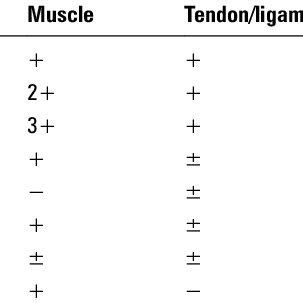 Growth factor receptors expression in musculoskeletal tissues 2 ...