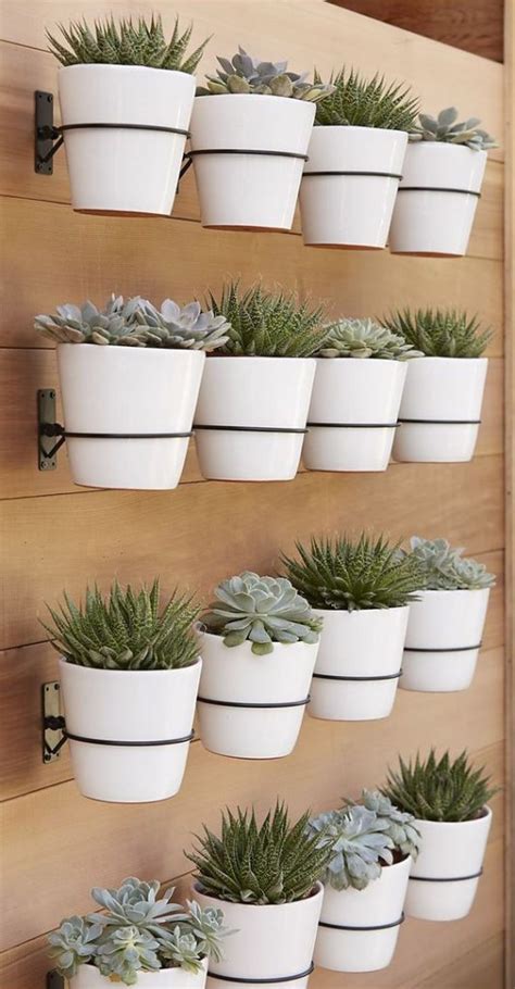 9 stunning wall planters | easy decor ideas - Lolly Jane