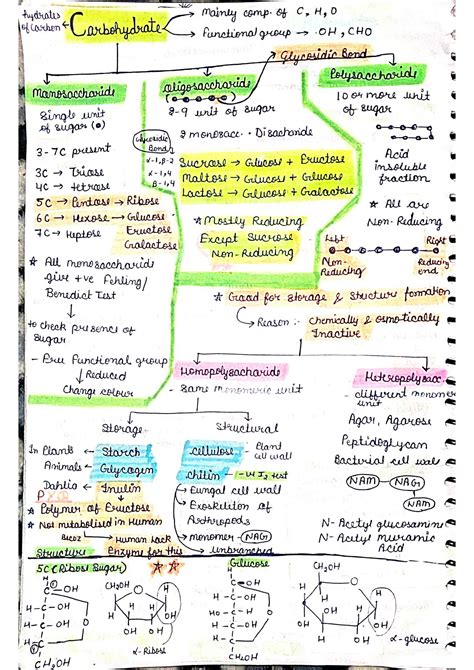 Solution Biomolecules Class 11 Biology Revision Notes Studypool