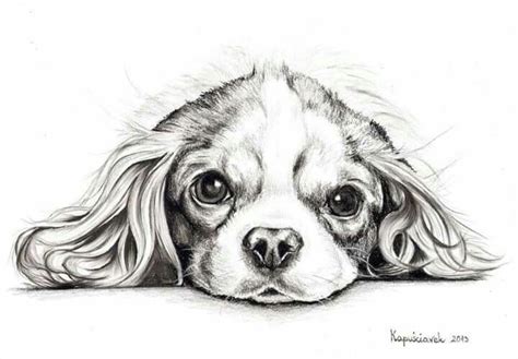 Spaniel Cavalier Coloriage Cocker Colorare Kolorowanki Ausmalbilder