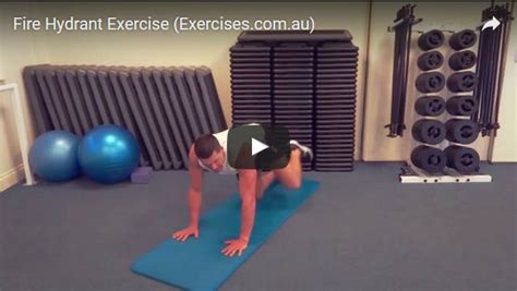 Fire Hydrant Exercise | Quick 1:25 Min Step-by-Step Video