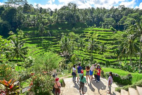 56 Fun Things To Do In Ubud Bali Tourscanner