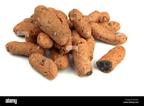 Expanded Clay Aggregate Stock Photo Alamy