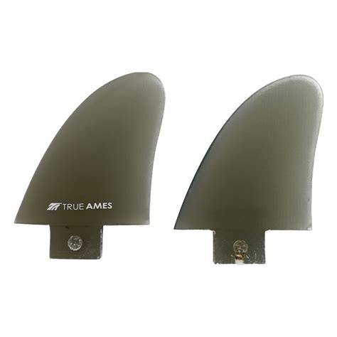 True Ames Twinzer Canard Lightly Used Fcs Surfboard Fins