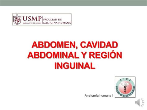 Abdomen Cavidad Abdominal Y Regi N Inguinal Tiroxina Med Udocz