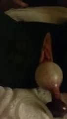 Getting It Good With Her New Blow Up Dildo Amateur Porn XHamster