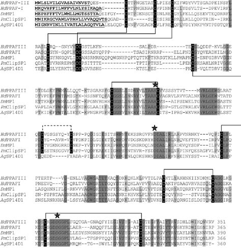 Multiple Predicted Amino Acid Sequence Alignment Of A Clip Sp Pm