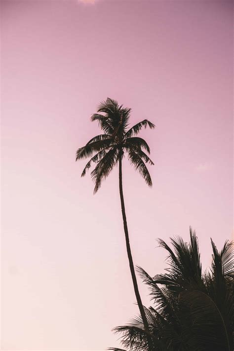 what time is it in philippines 6