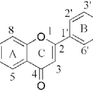 The basic structure of flavonoids. | Download Scientific Diagram