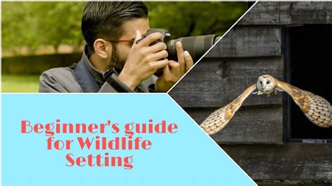 How To Take A Picture On Wildlife Setting Beginners Guide