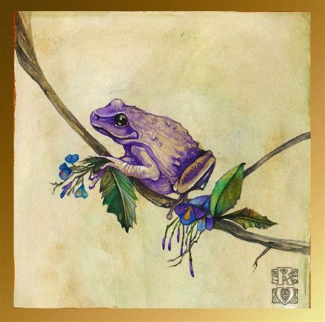 Frog 2 By Umbhowl On Deviantart Sketchbook Drawing Art Illustration