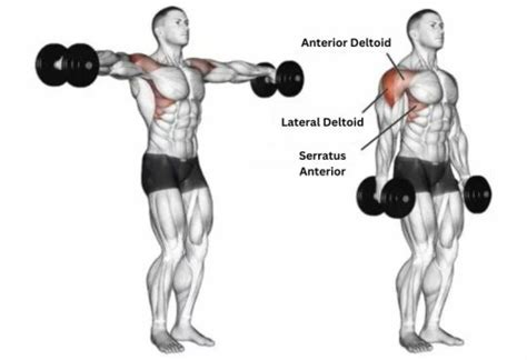 How To Do Shoulder Flys AKA Dumbell Lateral Raise - Barbell Rush