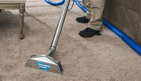 Carpet Mold & Mildew Removal Service in Dallas–Fort Worth