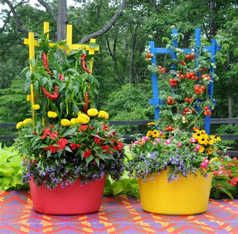 3 Easy Tips For Successful Container Gardening Sunrise Sunset Nature Gardens