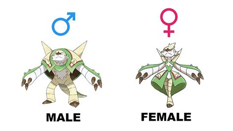 Chespin Quilladin Chesnaught Gender Difference Fanart - YouTube