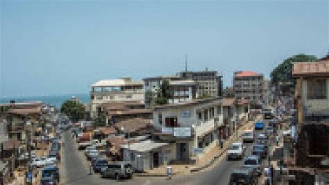 Copacul Simbol Din Sierra Leone Vechi De Sute De Ani I Prezent Pe