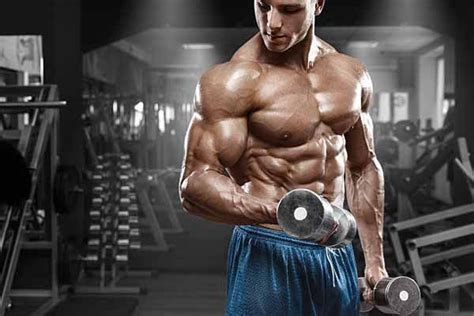 Bodybuilding Fisiculturismo O Que é História E Como Iniciar