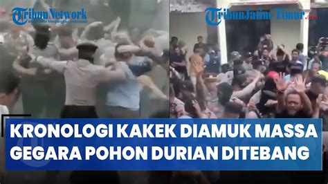 KRONOLOGI Kakek Diamuk Massa Di Temanggung Gegara Pohon Durian