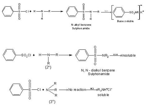 Test For Amines Mcq Practice Questions Answers