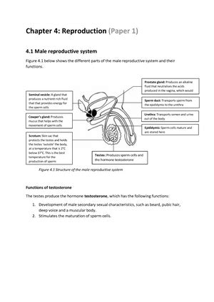 Gr Ls Topic Genetics And Inheritance Workbook Rl Grade