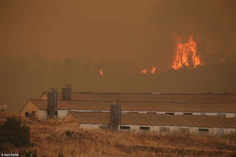 Hundreds Of Villagers Evacuated As Wildfires Rip Across Greek Island