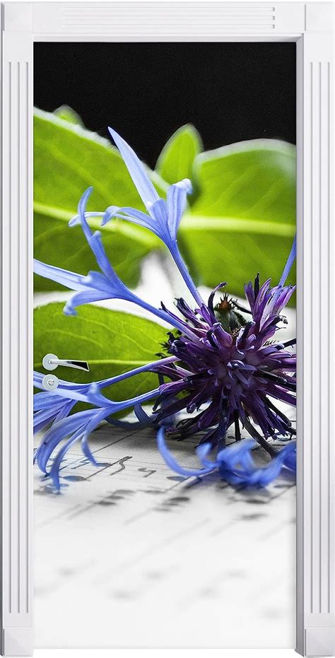 Stil Zeit M Bel Handgeschriebenes Notenblatt Mit Blauer Kornblume B W