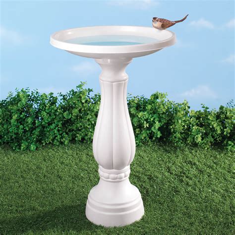 Bird Bath Plastic Bird Bath White Bird Bath Walter Drake