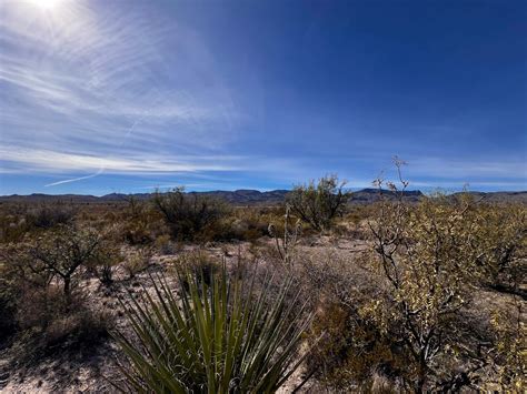 20 Acres | Unit 6 | Tract 19 - Lonestar Investments