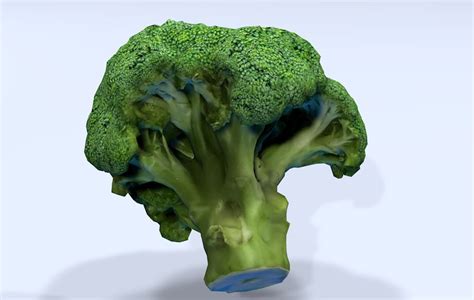 Broccoli Hd 3d Model 6 Obj Fbx Dxf 3ds C4d Free3d