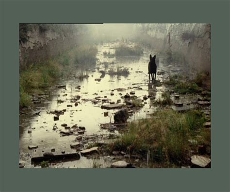 Tarkovsky: Films, Stills, Polaroids & Writings – COPYRIGHT Bookshop