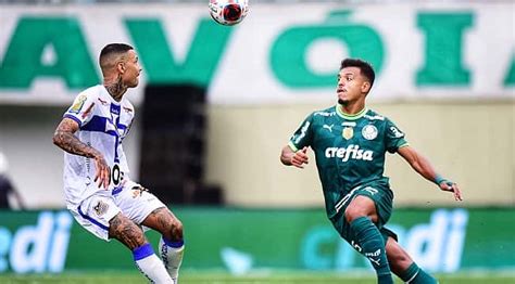 Palmeiras X Água Santa Confira As Prováveis Escalações E Onde Assistir