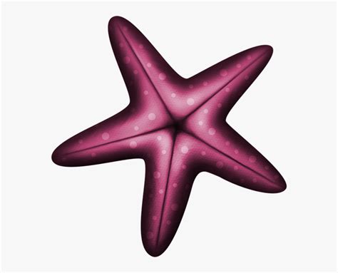 Transparent Starfish Clipart Transparent Estrela Do Mar Png Png